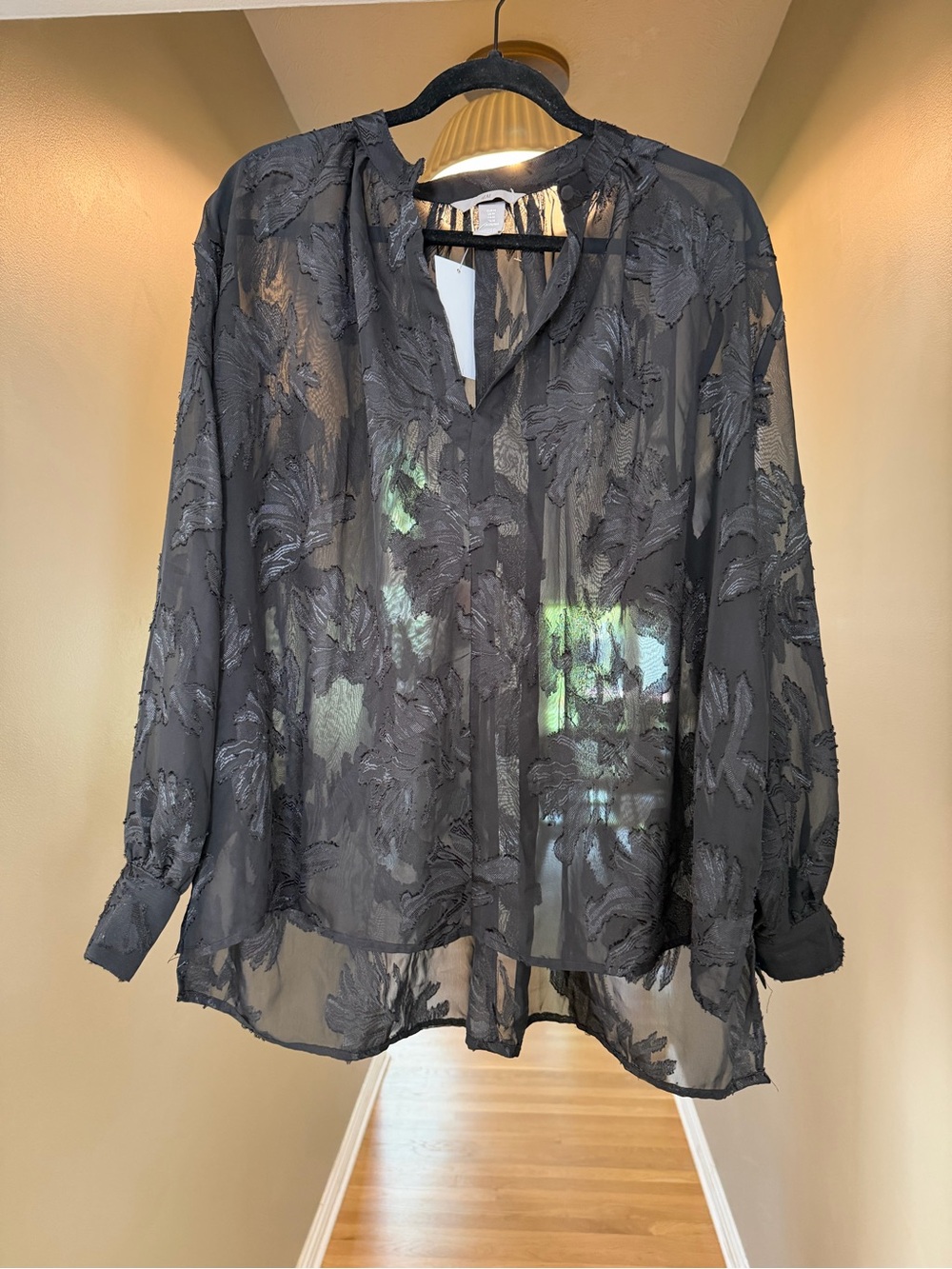 H&M Black Sheer Floral-Embroidered V-Neck Blouse
